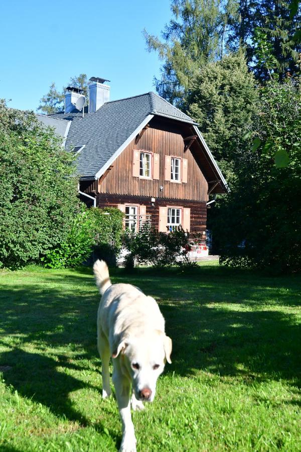 Naturforsthaus Ferienwohnung Fuer Hunde- Und Tierverbundene Menschen Preitenegg Zewnętrze zdjęcie